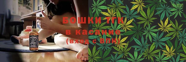 дмт Щигры