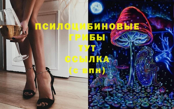 mdpv Щучье