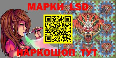 винт Будённовск