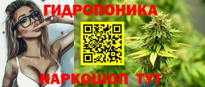 винт Будённовск