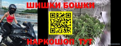 винт Будённовск