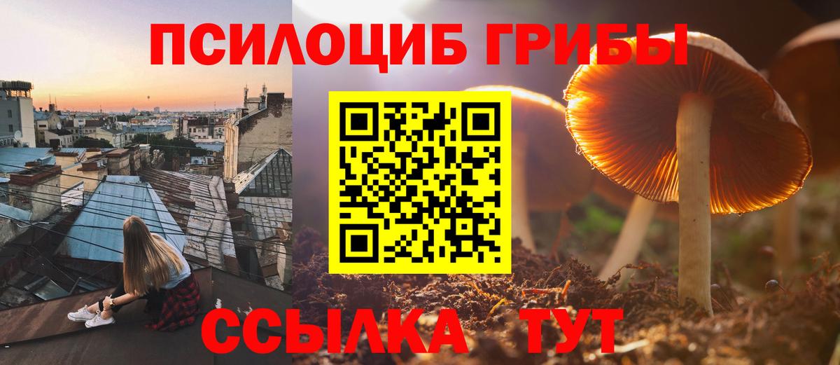 Псилоцибиновые грибы MAGIC MUSHROOMS Воткинск